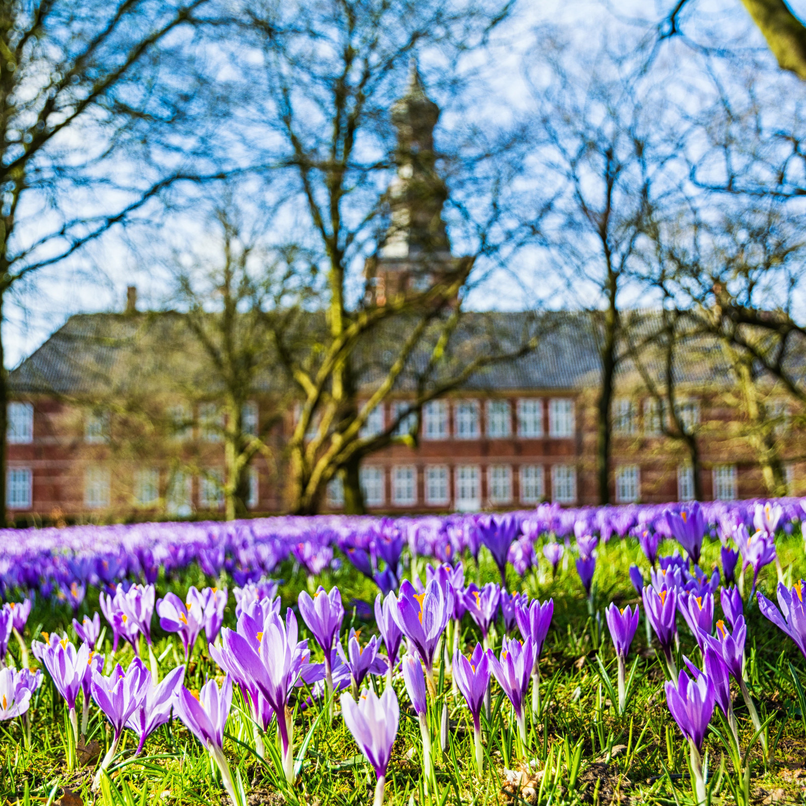 © Messe Husum & Congress GmbH & Co. KG